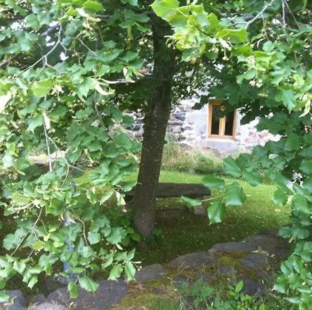 Bio Et Ecolo Du Besset Nocleg ze śniadaniem Yssingeaux