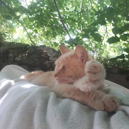 Bio Et Ecolo Du Besset Nocleg ze śniadaniem *