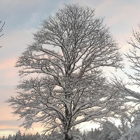 Nocleg ze śniadaniem Bio Et Ecolo Du Besset Yssingeaux