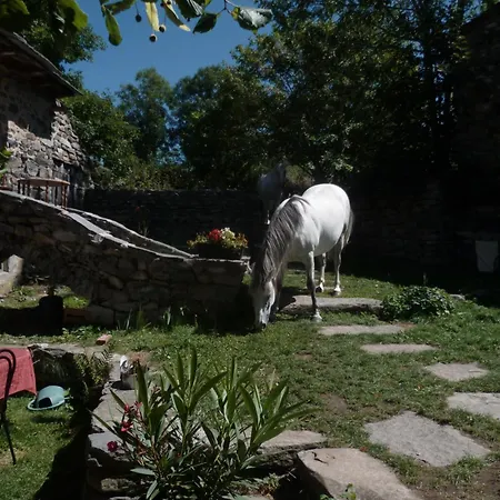 Bio Et Ecolo Du Besset