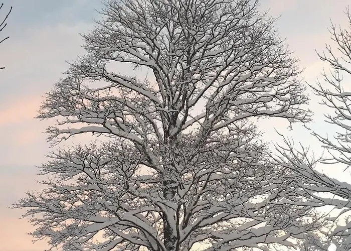 ベッド・アンド・ブレックファスト Bio Et Ecolo Du Besset Yssingeaux